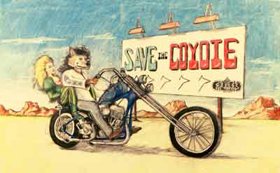 Coyote on his way to Utah by Damien Hunter